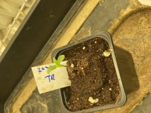 BAF304F9-3CAD-481D-B17D-54B5BDD5EA03