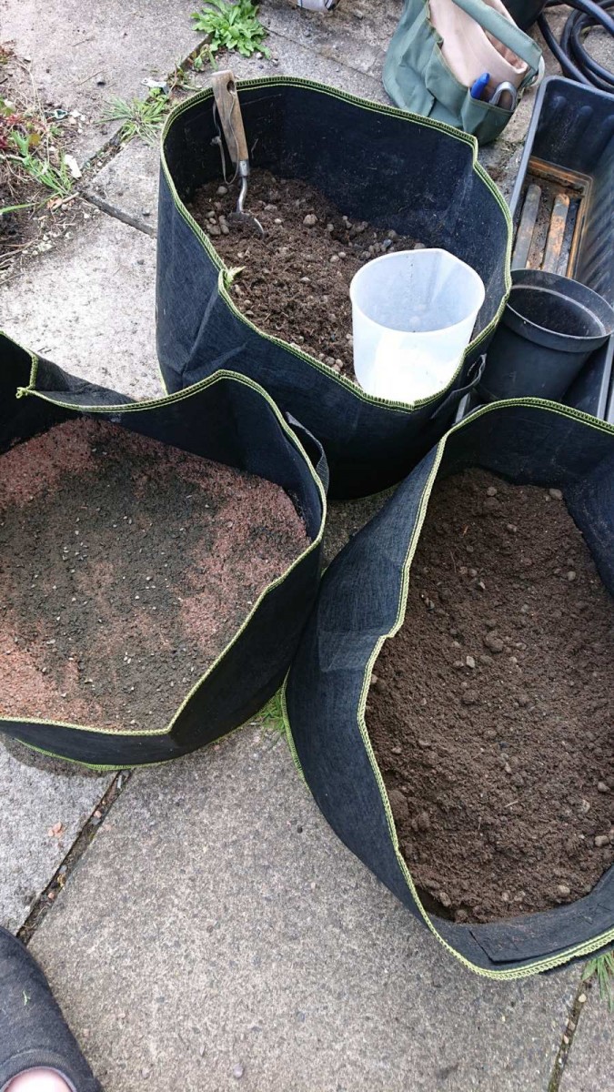 obscura1622395848890