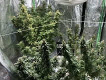 BD6E86E0-3C30-4FB7-8B72-6D5C6284124B