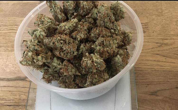 1CECD412-738E-40F6-AE68-01FDCF79782D