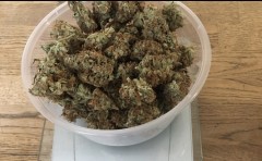 1CECD412-738E-40F6-AE68-01FDCF79782D