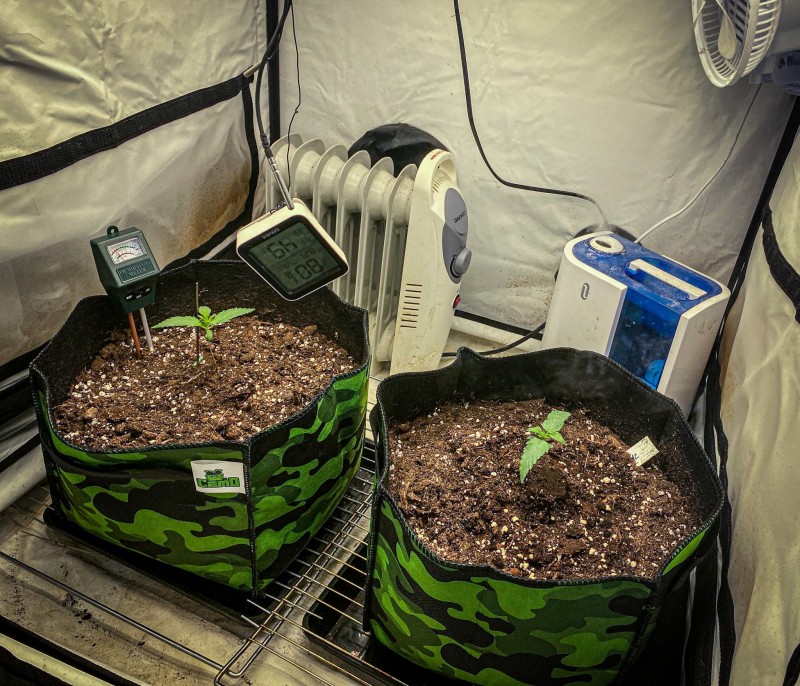 6B4D8381-6208-4ABE-B59A-6359AD539AE4