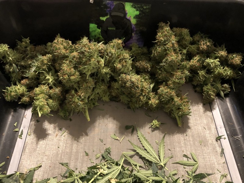 6D547C69-2F34-40F1-AF8D-14434DC348AC