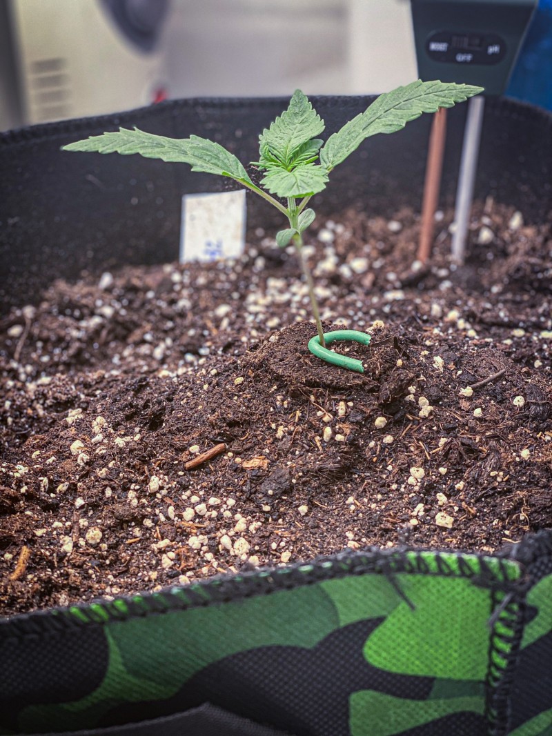 D8A8F6EF-0583-4782-8524-DC4F798F2779