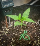 2B64B85D-31DD-4F35-9EDF-8467402899F2