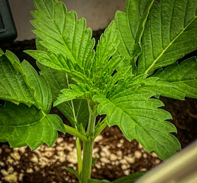 BC31F110-748C-40B5-ABA5-7583D4B7ACFA