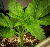 BC31F110-748C-40B5-ABA5-7583D4B7ACFA