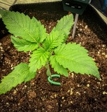 A0037C3A-5748-43D1-BE0F-6BCF65A1BC1A