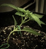 965178A3-5018-4083-B6B7-77D7948B265C