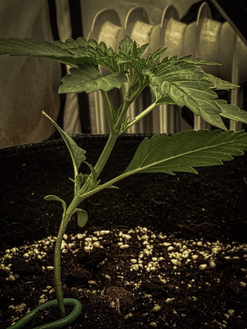 CBF6AB41-849C-4ABD-B9DD-D772CAE7F490