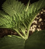 5A773018-6493-470B-950A-2FFF46F8800C