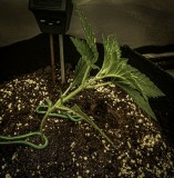 FD40E12A-B553-4E5A-A6CA-B93442BCF3E1