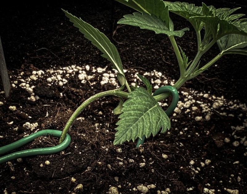 364EE534-1E3F-47FA-96E8-2C60A17EFF0E