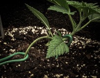 364EE534-1E3F-47FA-96E8-2C60A17EFF0E