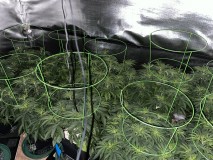 52F51E40-FA4F-4BA9-A39D-5DE376ABC41B