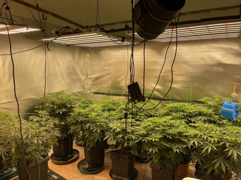 ED2009C3-2323-4D27-8A6A-04DB1749F9B8