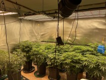 ED2009C3-2323-4D27-8A6A-04DB1749F9B8