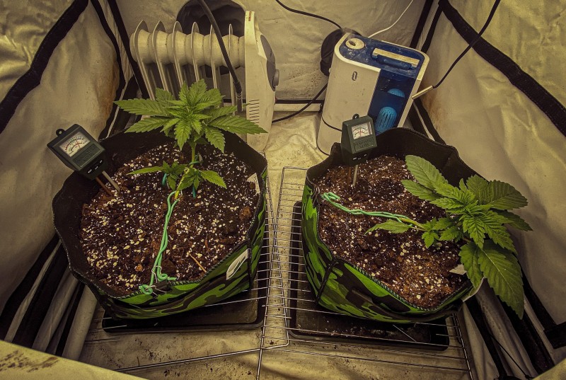 908E3CCD-070A-466A-B787-0153B83F6894