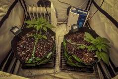 908E3CCD-070A-466A-B787-0153B83F6894