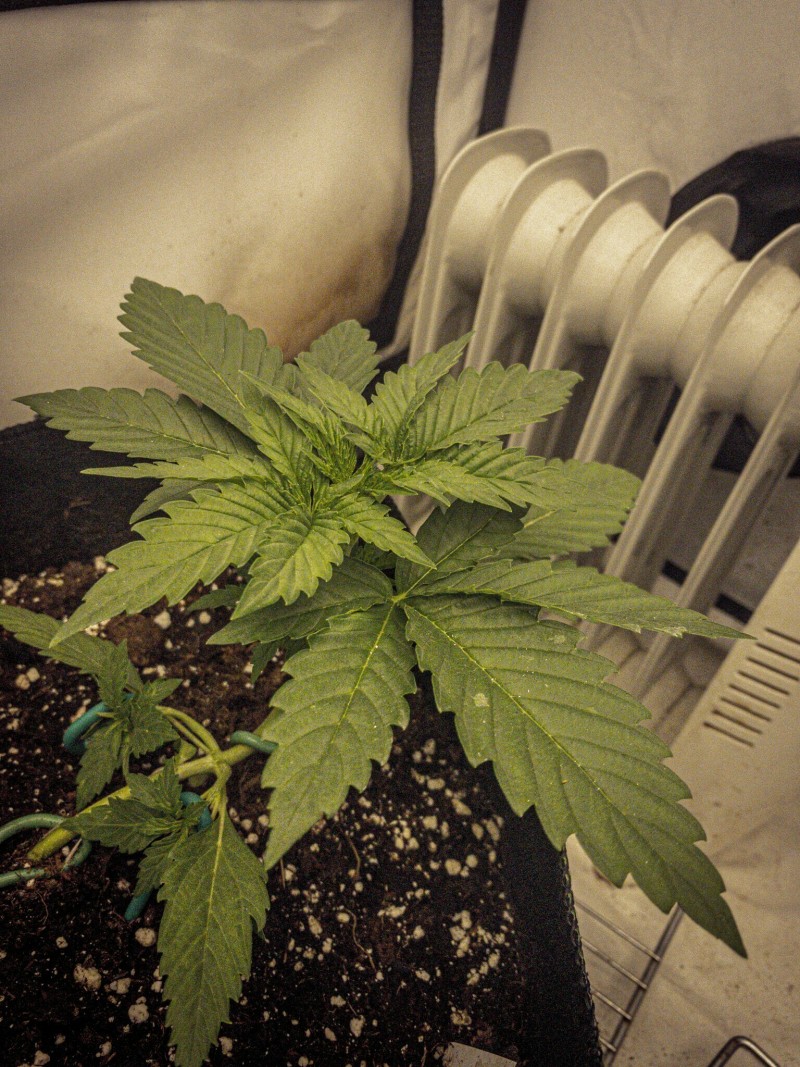 D2B5BD19-6F9B-48FE-831A-E1F53B953228