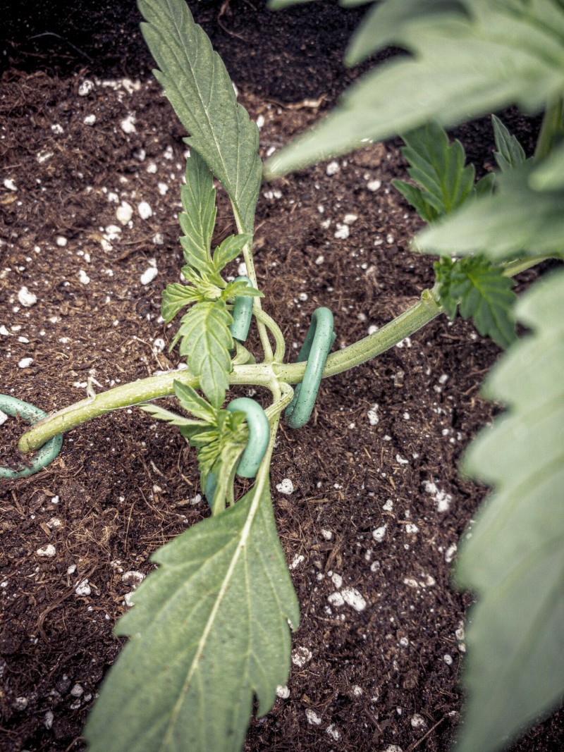 6EC28074-A0BF-4C3D-8B73-92C4D10A9CC1