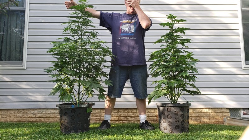 16231934210397588465044522985767