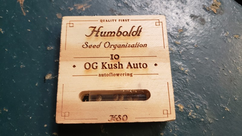 16231998904891825073675799447146