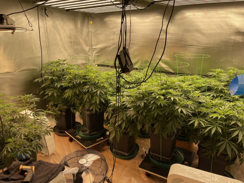 B458B0FA-4848-4981-B24A-F572EC36A0E8