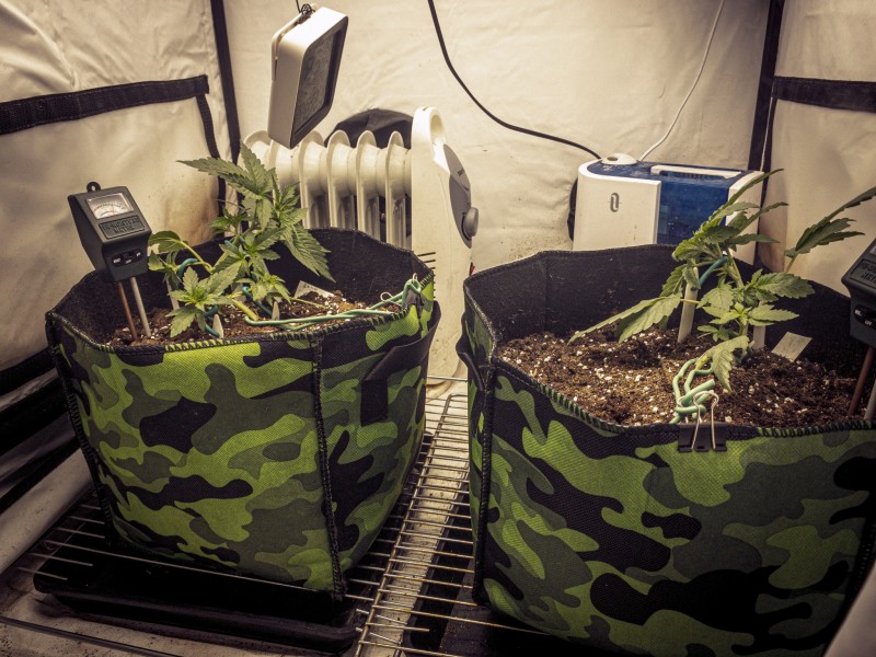 4F606B45-0476-4F1B-9D47-232D3597FAC6