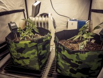 4F606B45-0476-4F1B-9D47-232D3597FAC6