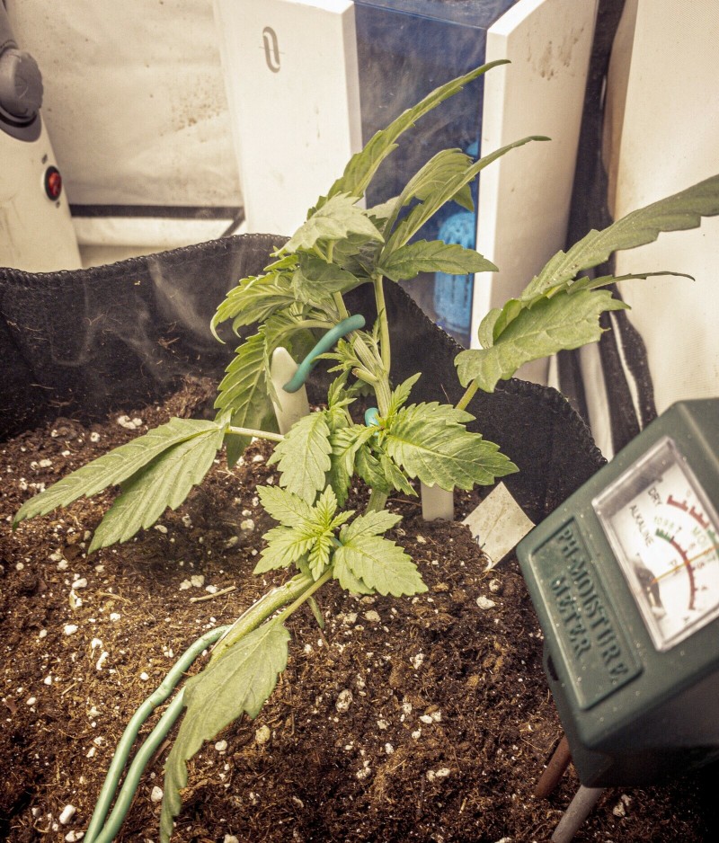 B4C69F3C-22CD-4425-BDB3-3CE071377C8C