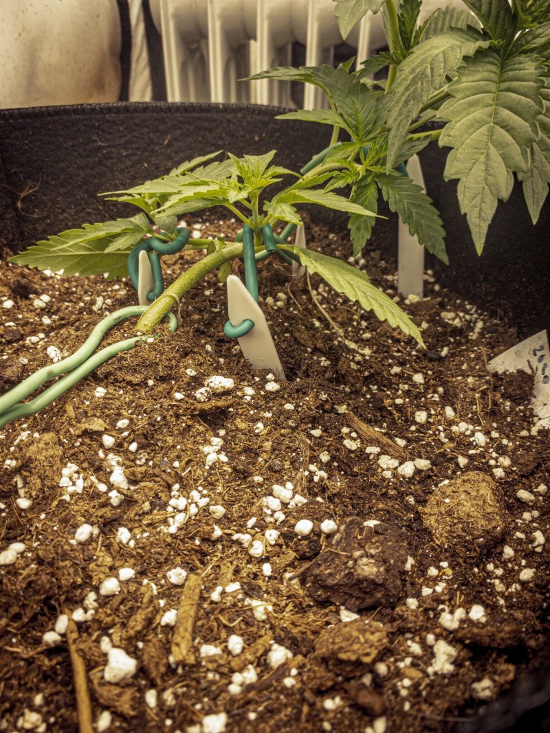 20000C8B-68D2-4677-9143-D79955BB1818