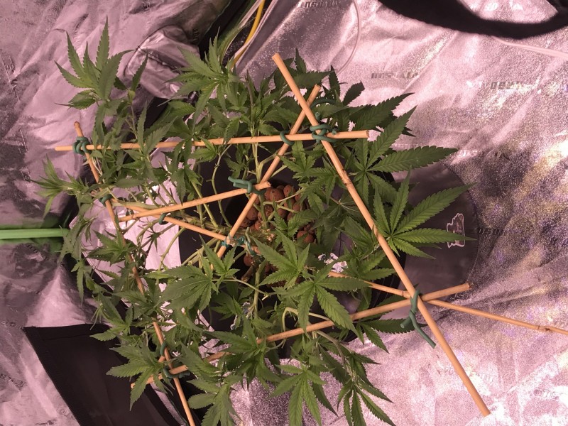 74E640FE-A30E-4CE2-BB3E-98C3FAF34347