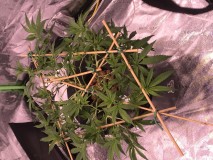 74E640FE-A30E-4CE2-BB3E-98C3FAF34347