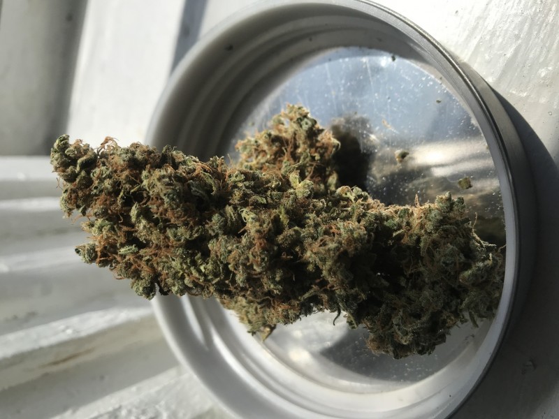 F476E6AE-FC15-405B-A963-534FCFEACB00