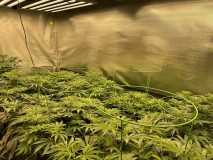 E3C06B13-5A39-46D6-9BDE-F878A683C4FA