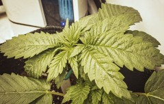 2E1679AE-395F-46D0-8930-8BF3837B1542