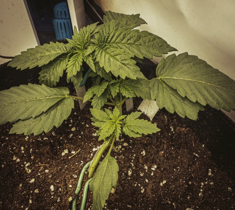 C6301B0C-8C2E-43A8-9FFE-648568F85426