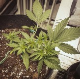 9DA44178-5397-421E-AEFD-363F2D81684C