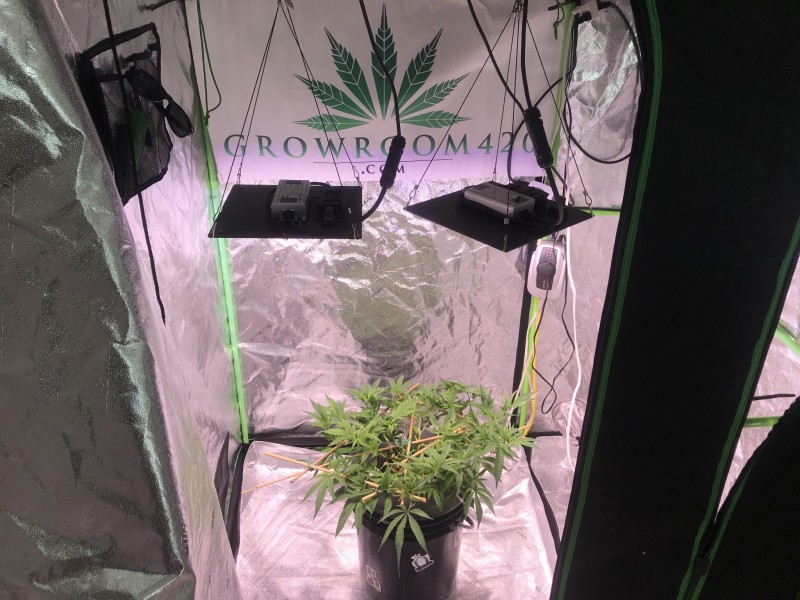 255D5C94-A74A-43AB-97AA-BCD79AF9B038