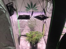 255D5C94-A74A-43AB-97AA-BCD79AF9B038