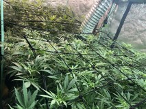 9932CE78-E9C7-46C6-9901-872BF2E426D3