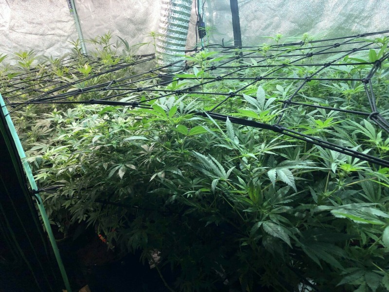 74F9DC10-5774-41E8-BE97-BCC6D74A40BB