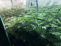 74F9DC10-5774-41E8-BE97-BCC6D74A40BB