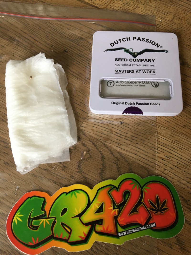 DF04082B-1305-4A2B-9F01-080C8B91DB49