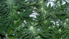 drobes etc 11 6 21 038