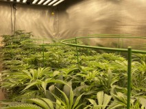 D27148F3-349F-4EE0-ADA3-8119ED21EA98