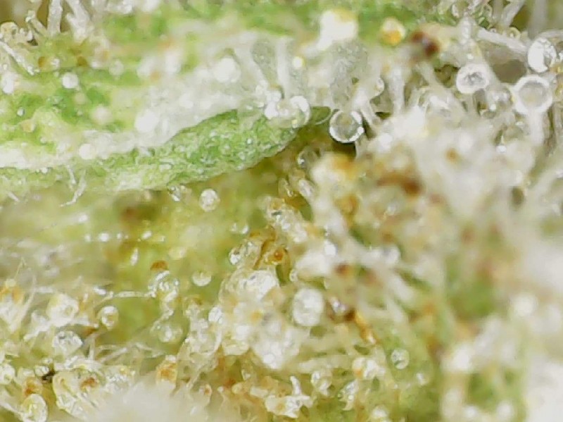 470A15D8-A9DF-43F0-A6F8-51D2EB4F59C0