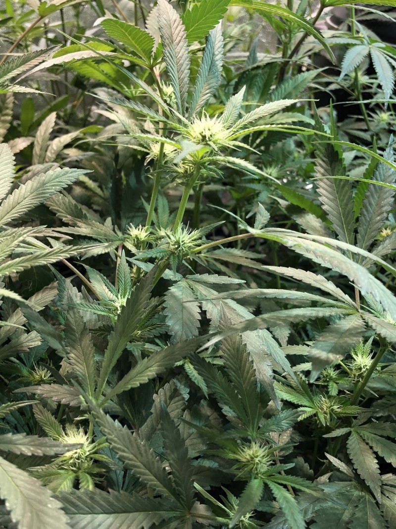 273301CA-8D4D-4C6B-A14F-60EC3D822A90