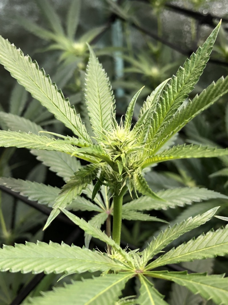 18B305D6-BB24-4803-8205-F6F9A1E71824